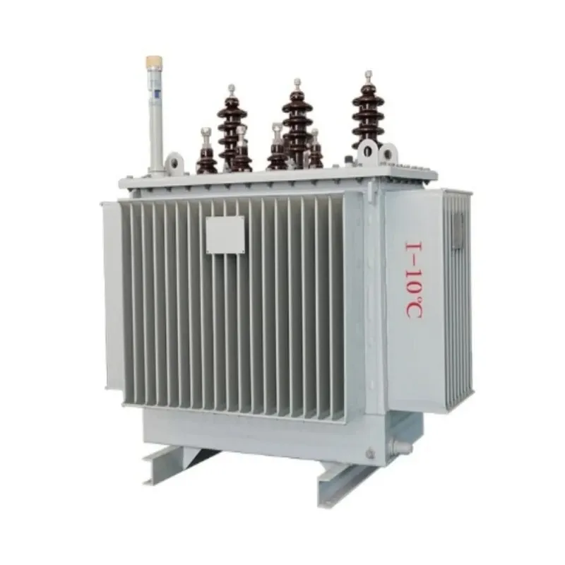 S13 Single Phase Oil Immersed Electrical Transformer